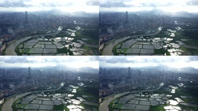 大湾区 深圳 城市 建筑 楼宇 河流