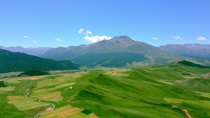 卓尔山风光高原山脉草甸村庄青稞田航拍