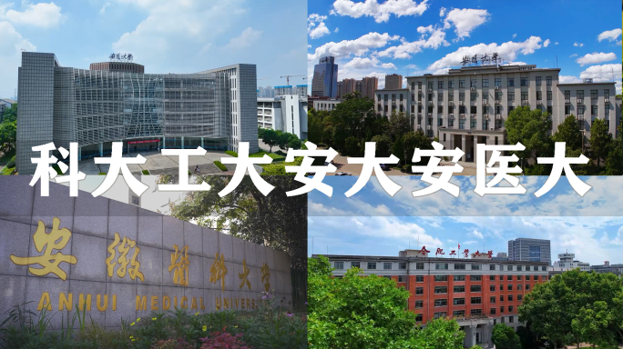 中科大合工大安医大安大高校合集