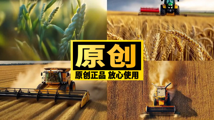 【精品】小麦种子生根发芽到成熟丰收