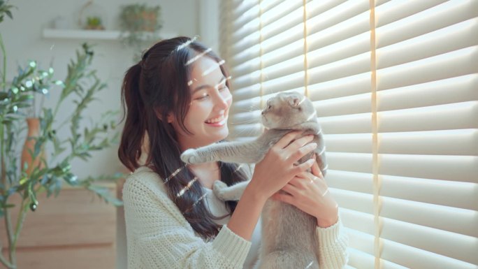 快乐的亚洲女人在客厅玩苏格兰折耳猫，快乐的家养动物在家里，猫和主人在一起，最好的朋友。爱护动物