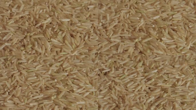 未煮熟的棕色印度香米全麦米背景旋转宏观。亚洲食品。健康饮食理念