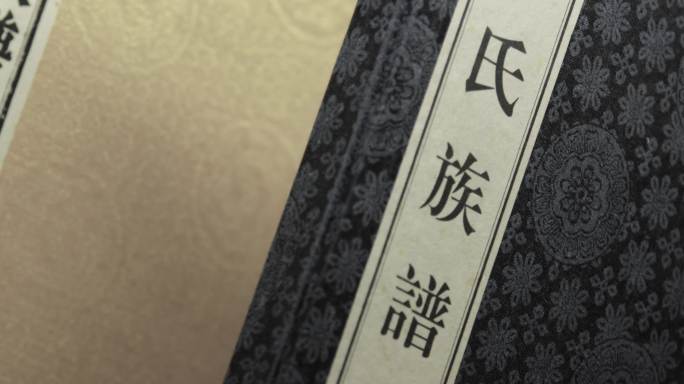 中国姓氏 族谱宗谱