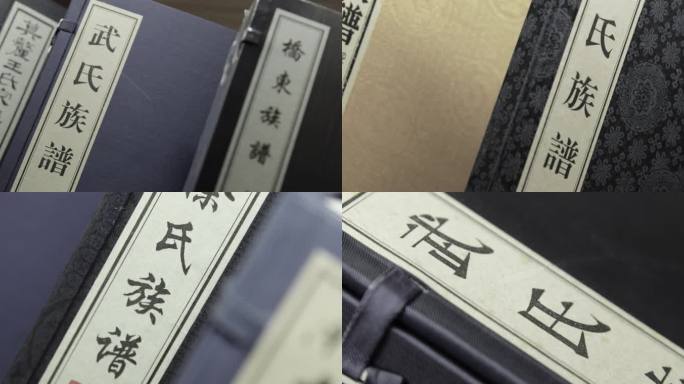中国姓氏 族谱宗谱