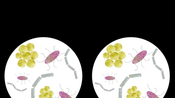 食物中毒细菌水彩插图垂直循环视频