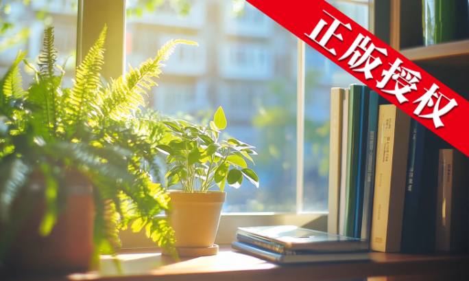 老师 学校 教师节 大学 校园