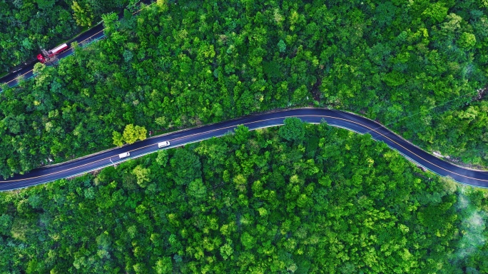 5K云海森林中行驶的汽车02