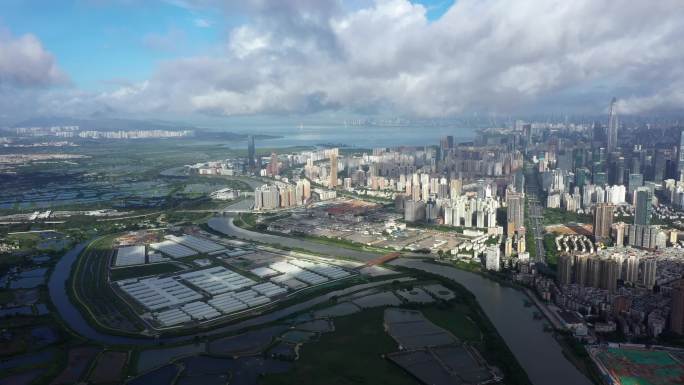 大湾区 深圳 城市 建筑 楼宇 河流