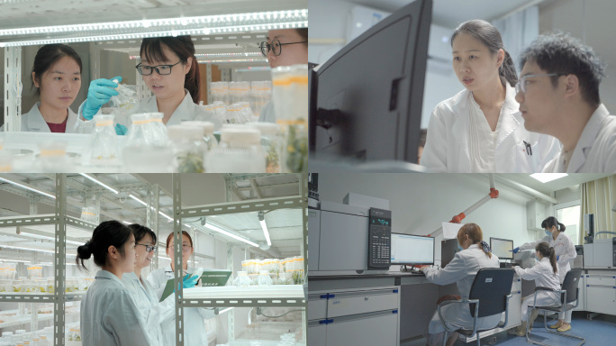 高校研究生农业科学科研实验室4K 50帧