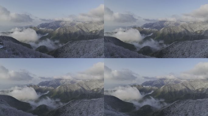 山西历山雪景 历山雪景 春雪   历山