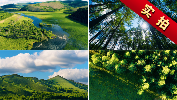 森林光影山川河流水流湿地绿色自然树林阳光