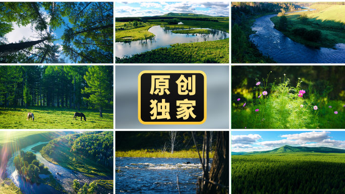 森林光影山川河流水流湿地绿色自然树林阳光
