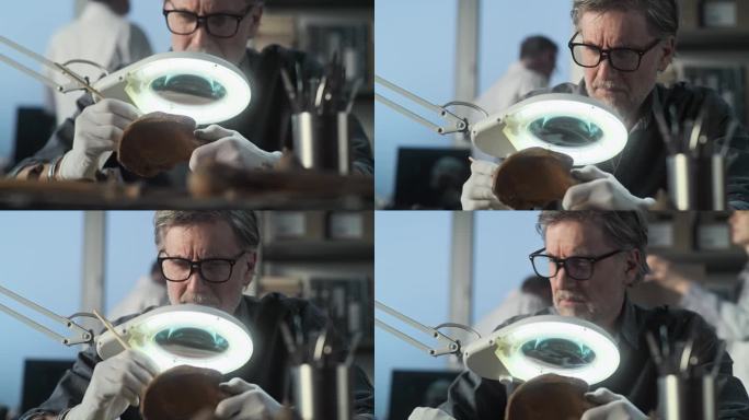 男性考古学家用刷子清理化石遗骸，检查史前人类的骨头