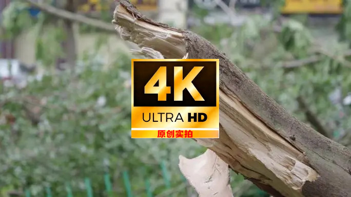 台风过后满目疮痍的城市