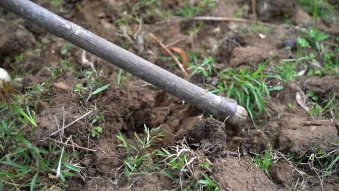 农民在农田里干活