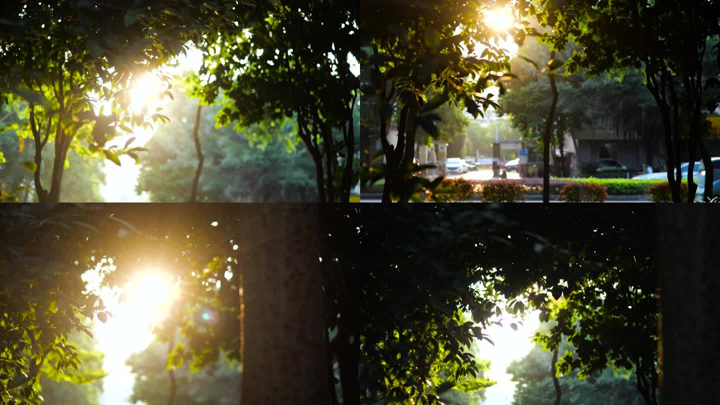 清晨第一缕阳光