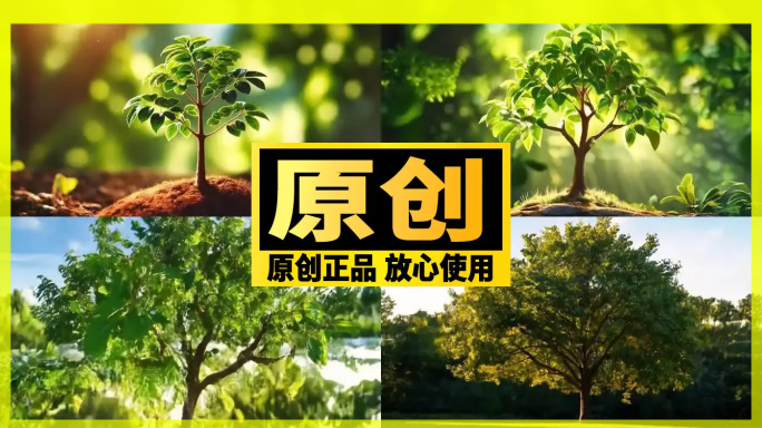 【精品】 破土而出苗成长为大树植物节生长