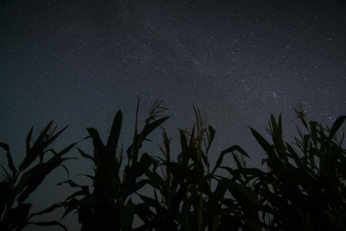 玉米田星空6K延时摄影