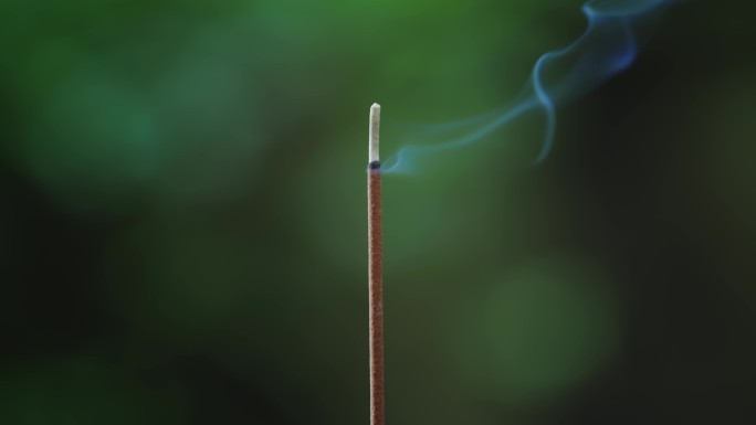 【正版素材】线香烟熏烟香蚊香焚8249