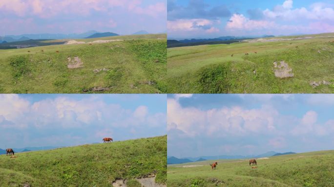 夏天贵州毕节二台坡蓝天白云自然风景航拍