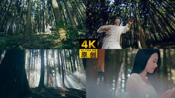 森林散步 老人打太极 美女看书