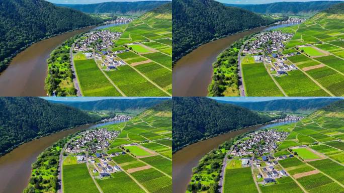 葡萄园梯田的空中无人机视图。德国的莫泽尔谷葡萄酒产区