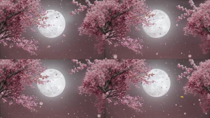 樱花和满月，月光，日本夜景，夜空，循环背景