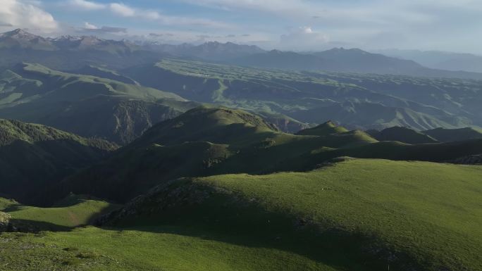 原创 新疆伊犁喀拉峻草原森林航拍自然风光