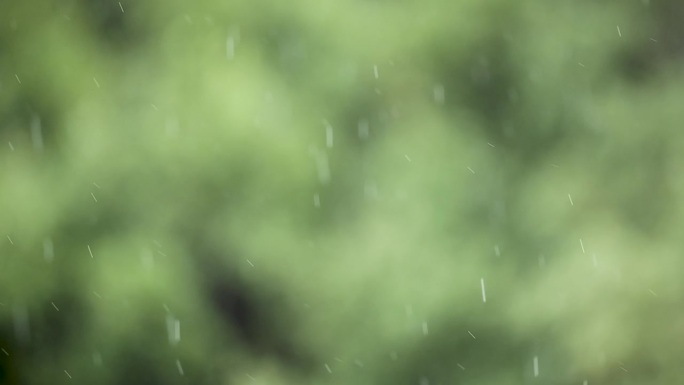 慢动作的雨落在一个模糊的绿色背景前-复制空间板