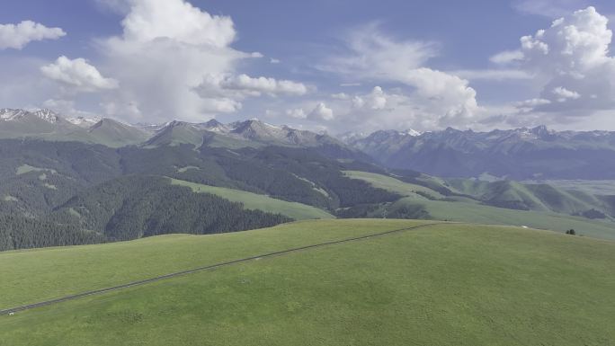 原创 新疆伊犁喀拉峻草原森林航拍自然风光