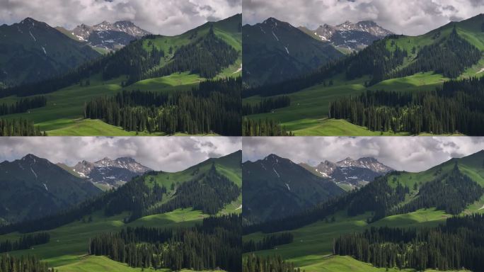 原创 新疆伊犁库尔德宁草原自然风光航拍