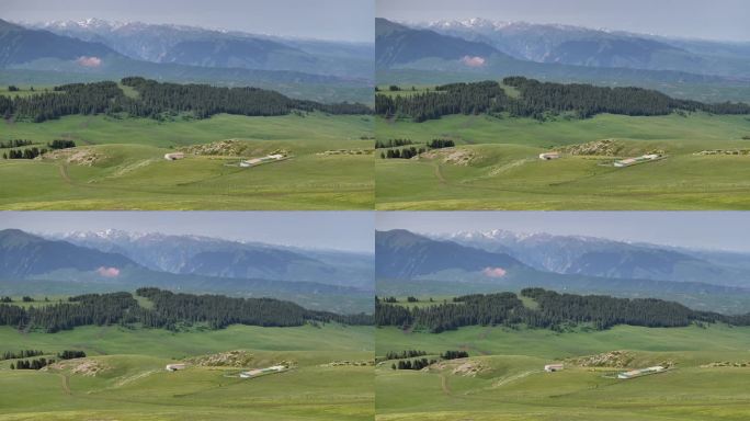 原创 新疆伊犁喀拉峻草原牧场航拍自然风光