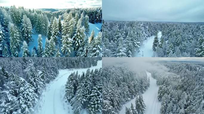加拿大魁北克省暴风雪后森林的空中视角