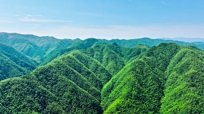夏季绿色森林和山地自然景观鸟瞰图