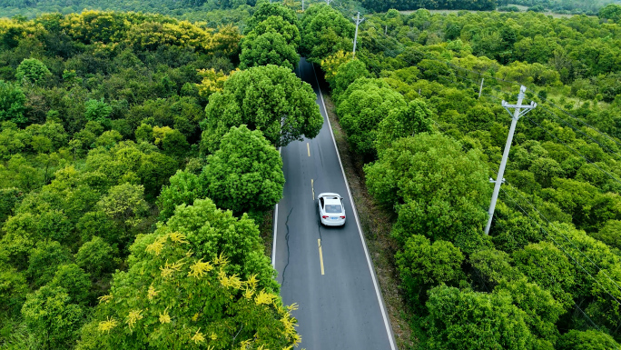 汽车穿行在乡间道路上