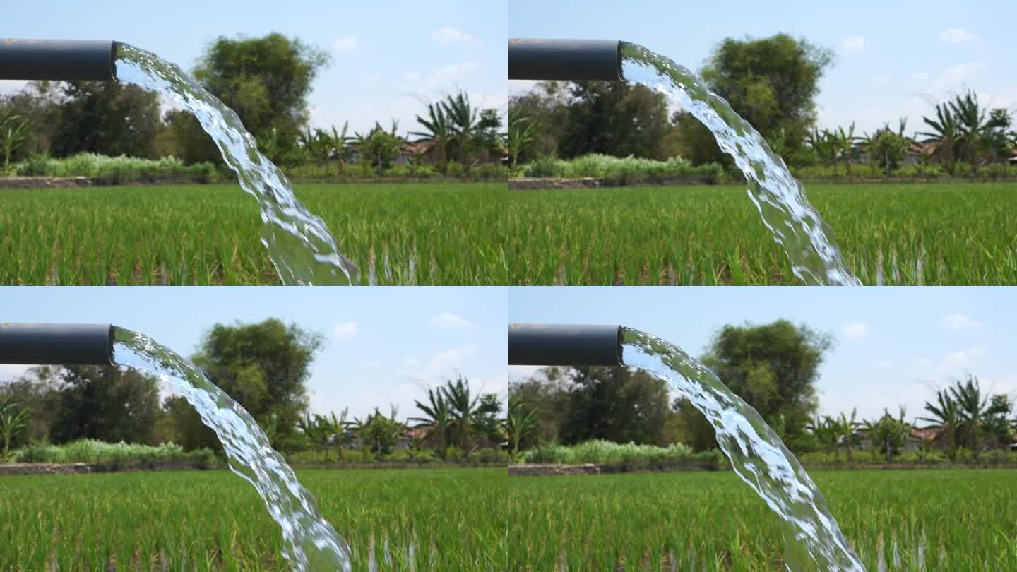 利用泵井灌溉稻田，将水从地下抽到稻田中。采用PVC管道抽水。来自运河或河流的水