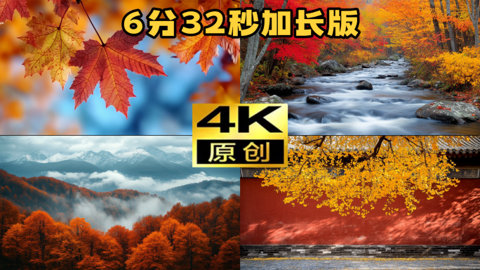 秋天森林秋季森林航拍自然风光风景树林枫林