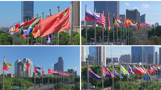 飘扬的各国旗帜