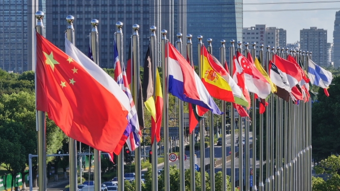 飘扬的各国旗帜