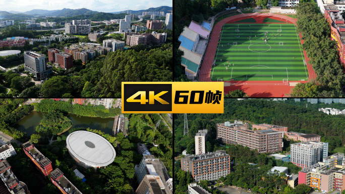 广东岭南职业技术学院广州校区大专高校大学