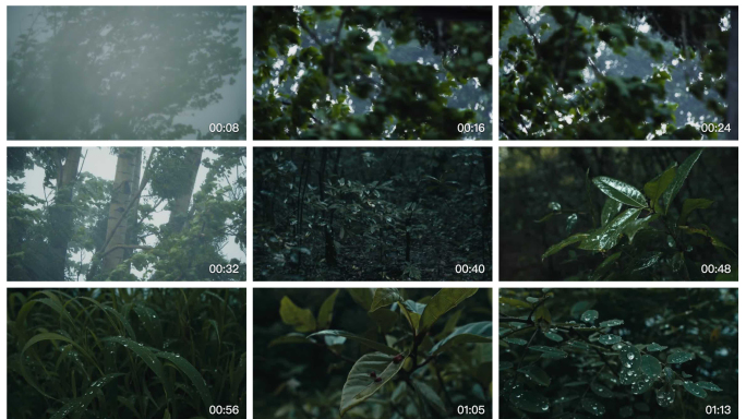 【4K】山林绵绵细雨烟雨朦胧下雨大雨