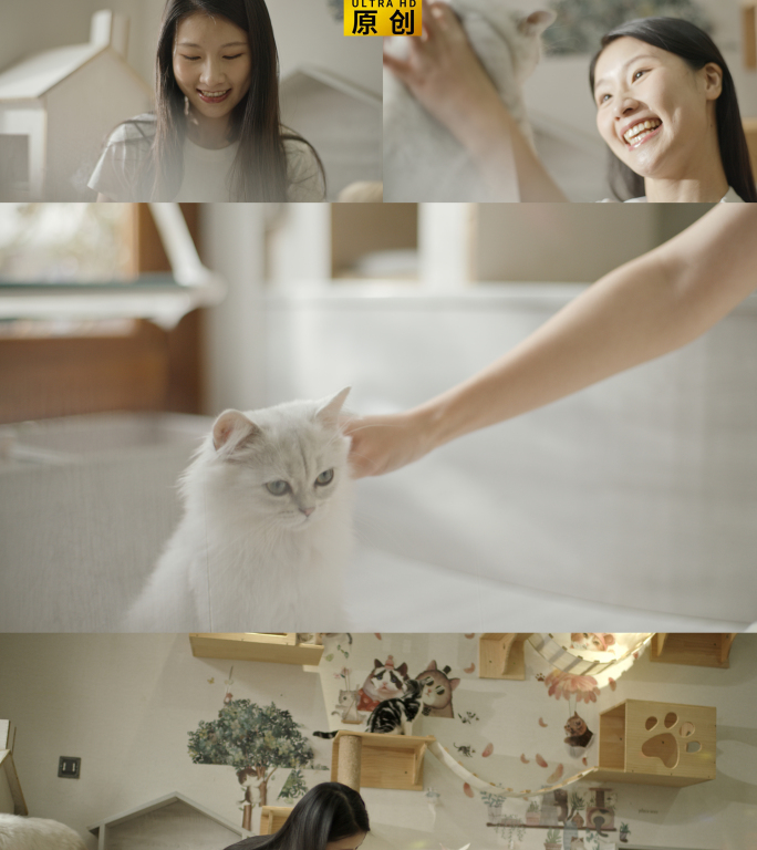 4k女生 猫咖 撸猫 可爱