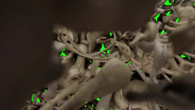 掉落的头骨在绿色屏幕上的过渡