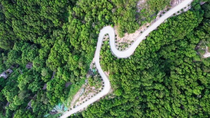 清晨海岛丛林中的道路俯视航拍