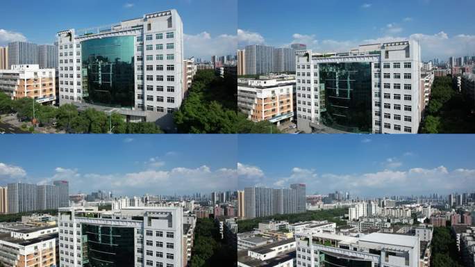 国家税务总局深圳市税务局新安税务所