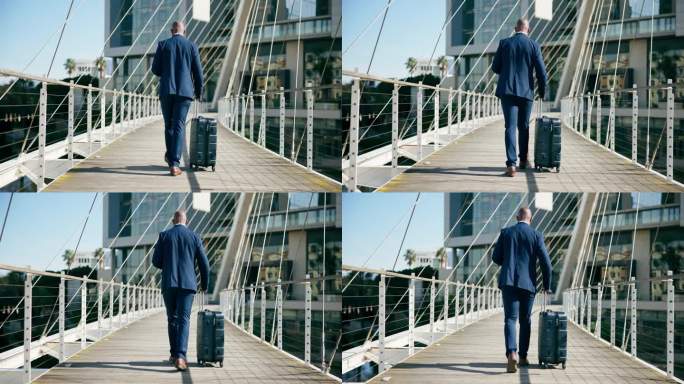 商务，旅行箱和黑人的背部，早上在城市旅行，通勤和国际旅行。公司，律师，带着包在桥上走法律案件，事业和