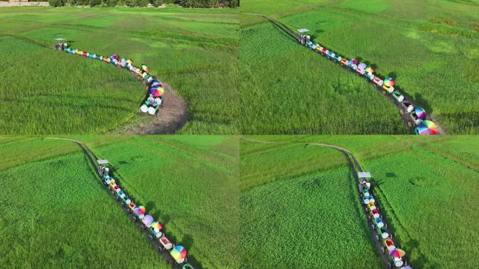 御3pro 4k 草原黄河