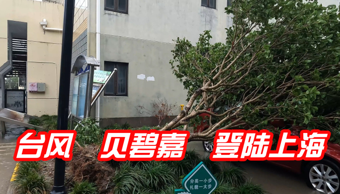 上海台风  贝碧嘉台风 登陆