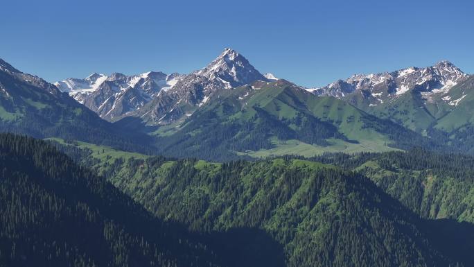 新疆伊犁库尔德宁雪山森林自然风光航拍