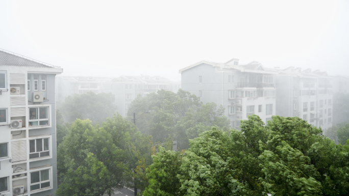 台风 贝碧嘉 普拉桑 摩羯